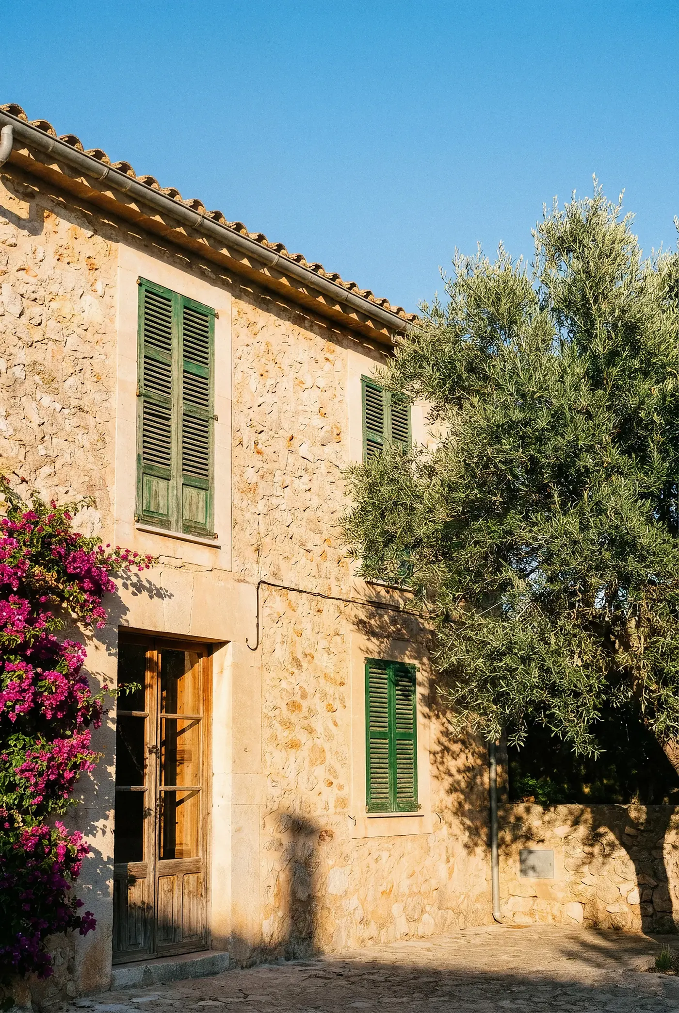 Casa de piedra mallorquina con contraventanas verdes, olivo y buganvilla