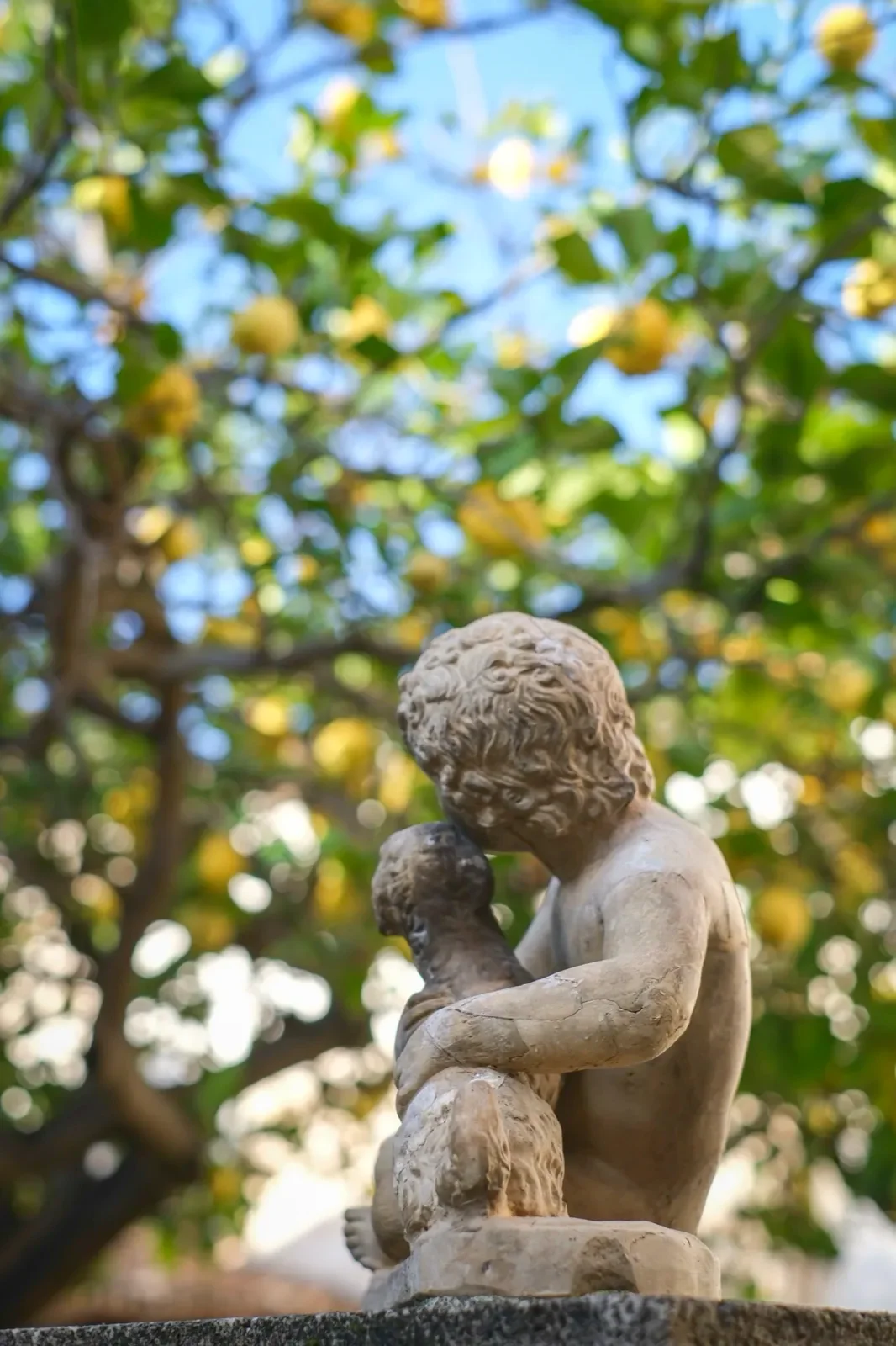 Escultura de querubín bajo un limonero en Can Costa